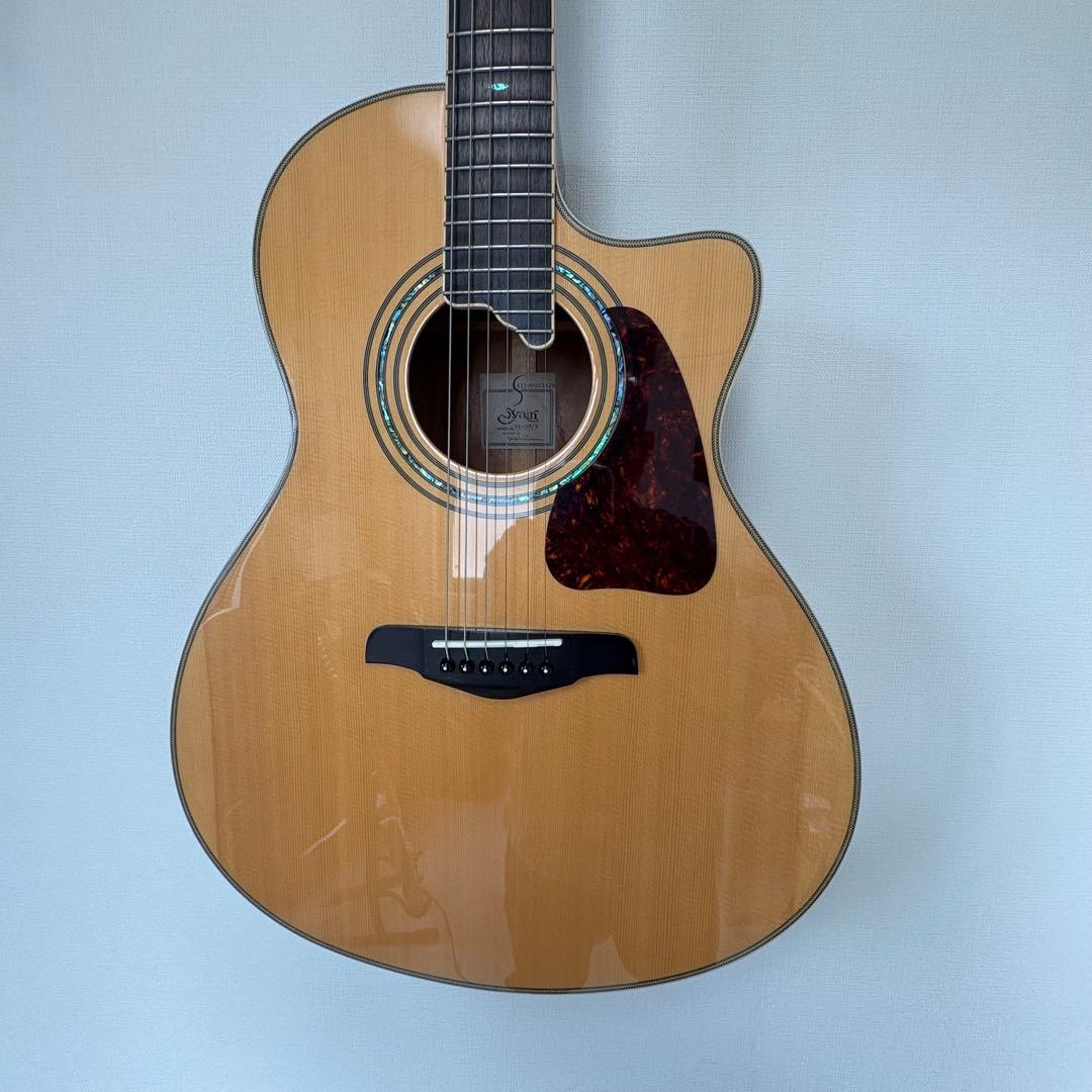 Yairi アコースティックギター Fishman搭載　YE-5M
