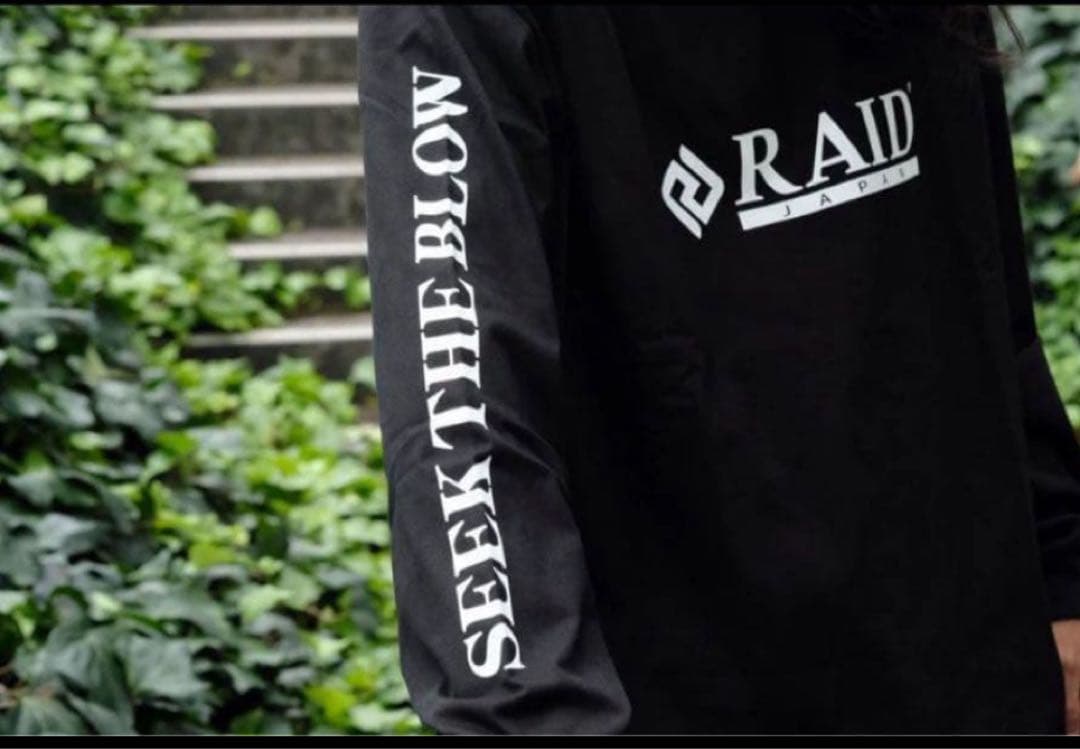 レイドジャパン ロングT Lサイズ