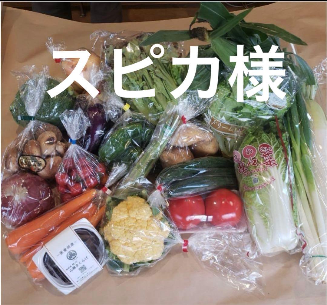 スピカ様 野菜セット 果物追加2 くるみ味噌2
