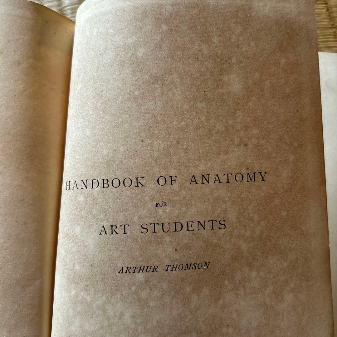 書 HANDBOOK OF ANATOMY FOR ART STUDENTS