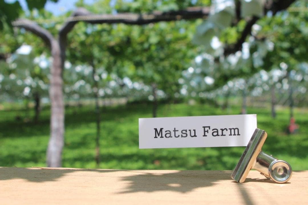 シャインマスカット大粒・大房　3房②　　クール便送料込み　8,000円