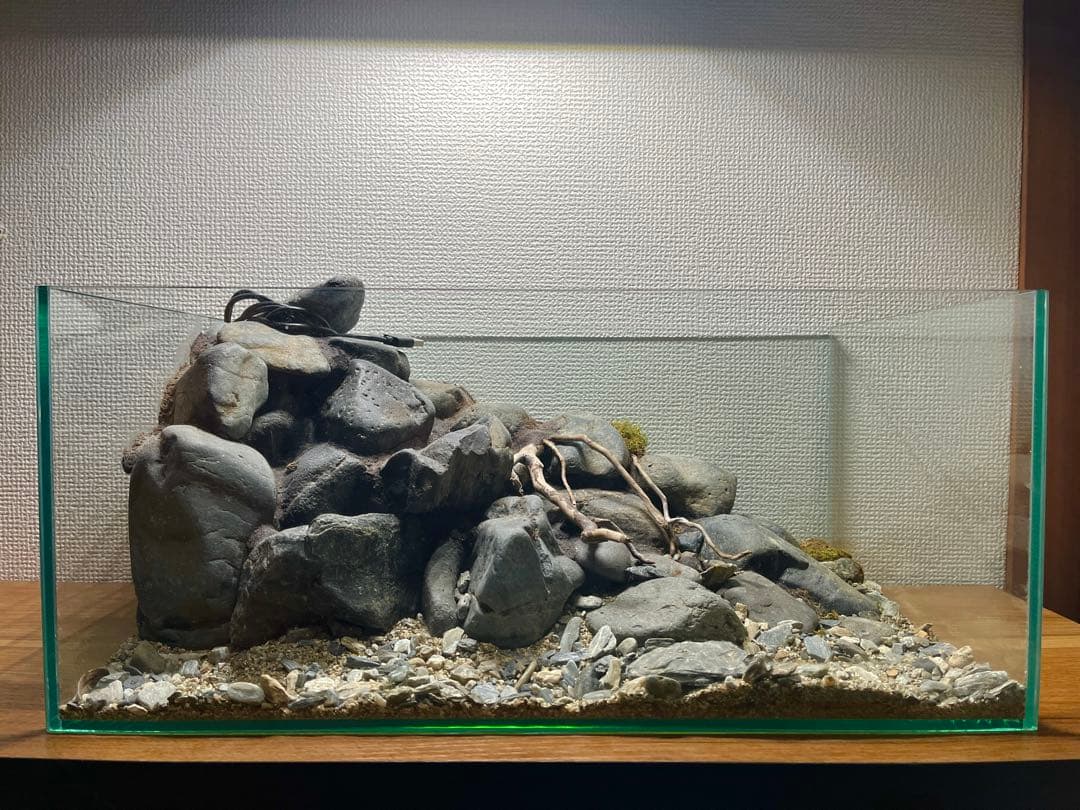 Terrarium 川
