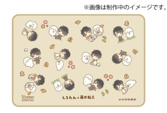 【未開封】しろたん×藤井聡太 オリジナルブランケット
