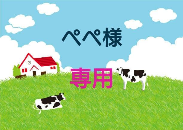 専用　おまとめ