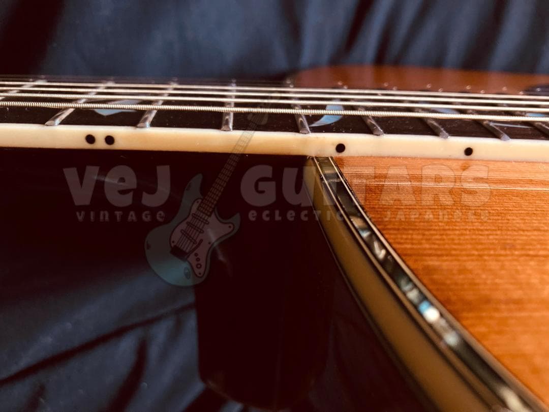 ギター TREE of LIFE* JAGARD TERADA MT-400P 1974