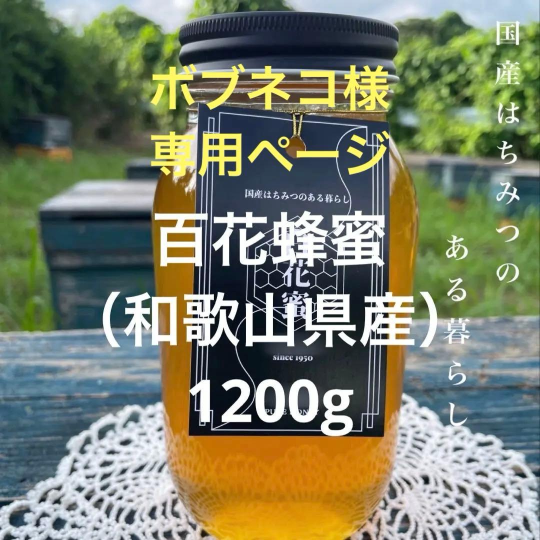 【ボブネコページ】