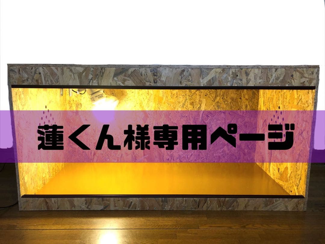 蓮くんページ