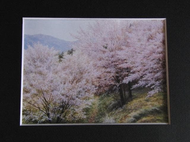 中島康正、【爛漫】、希少な額装用画集より、新品額装付