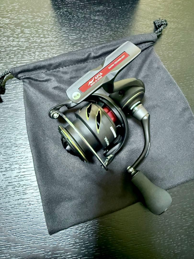 APIA 25 VENTURA（ベンチュラ）LT4000-CXH 専用ケース付き