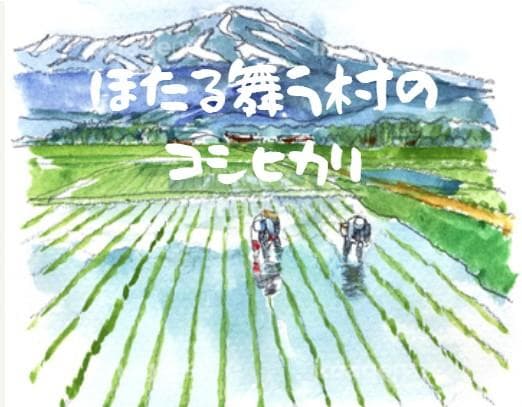 令和７年新潟産コシヒカリ　精米18Kg（玄米20Kg）