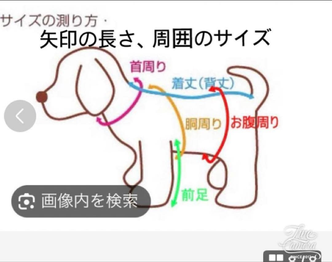 B456.pon2pan2☆犬お着物☆犬オーダーお着物