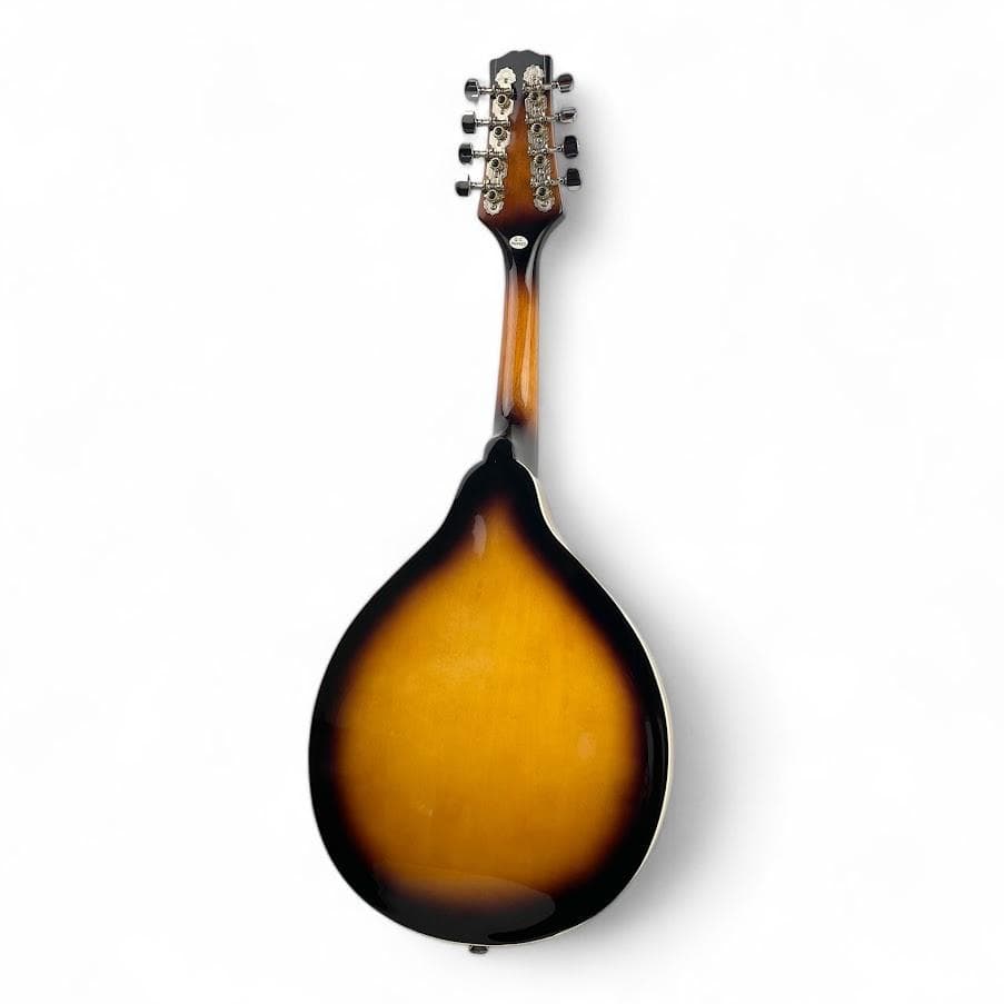 極美品●Donner● マンドリン DML-1 専用ケース付 サンバースト