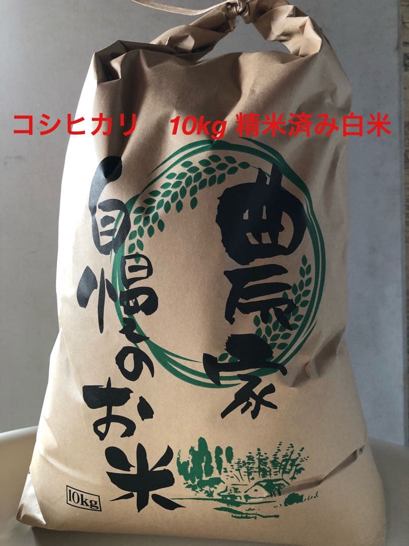 コシヒカリ白米10キロ　2025年夏収穫分　三重県から発送　お米　農家直送