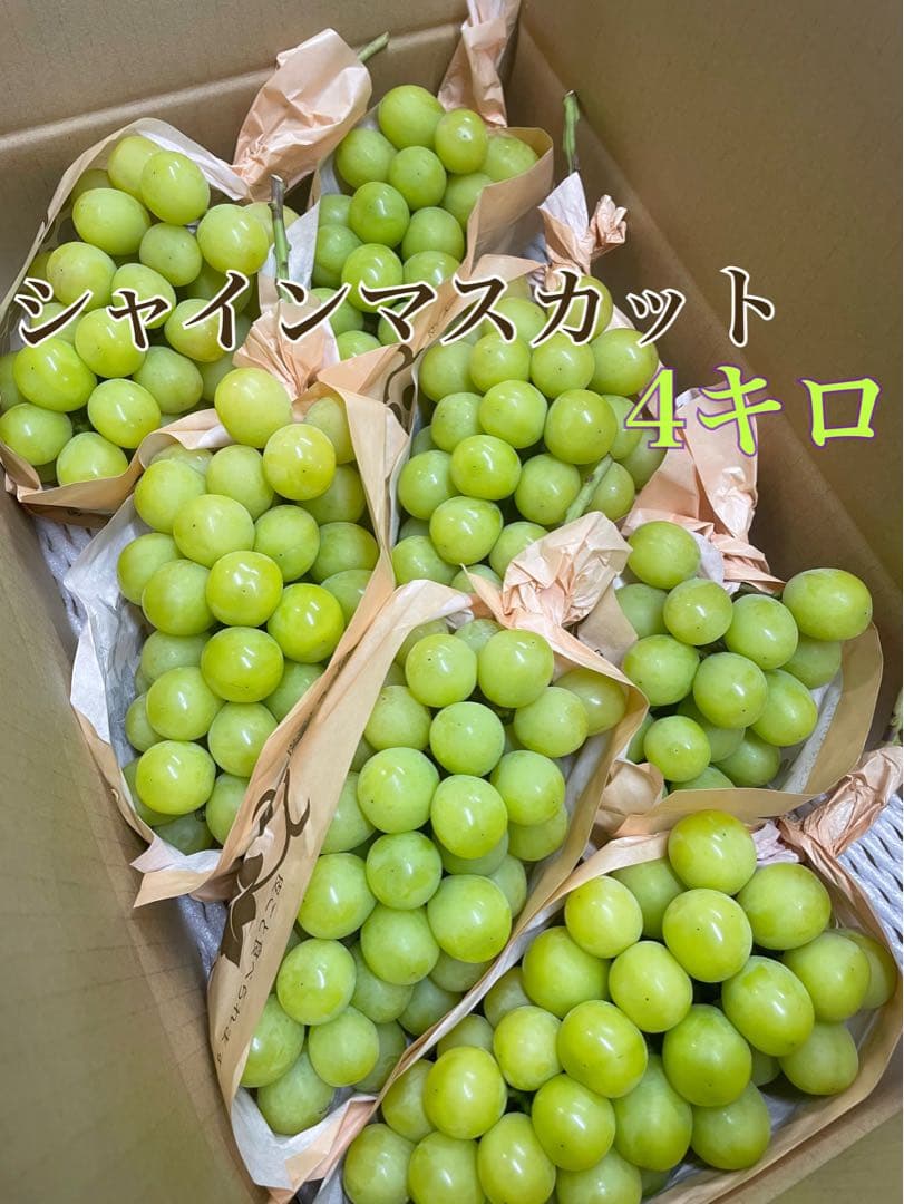 大人気⭐︎シャインマスカット　4キロ　4kg