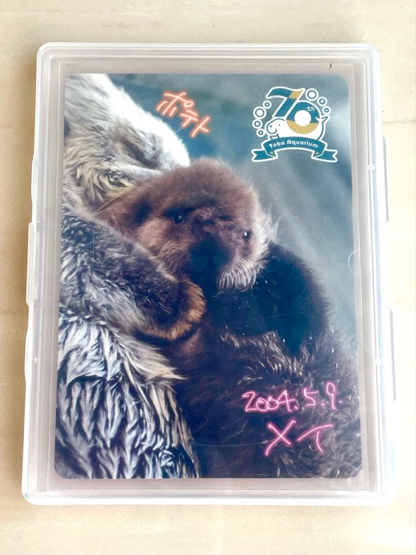 鳥羽水族館　コレクションカード　メイ（レア）　ポテト　ラッコ　赤ちゃん