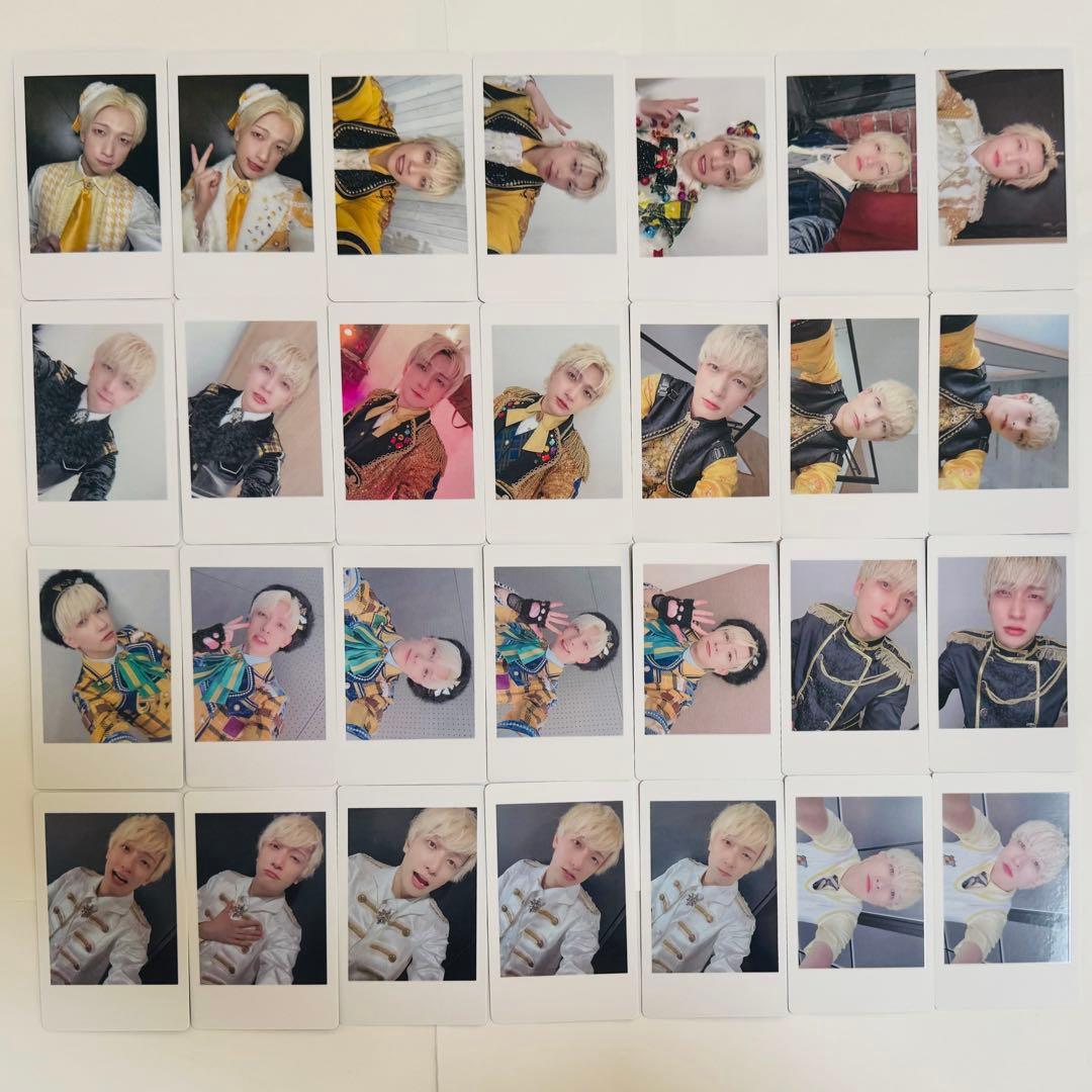 パンダドラゴン　チェキ　ハピカ　バラ売り可　パラゴン　グッズ　DD