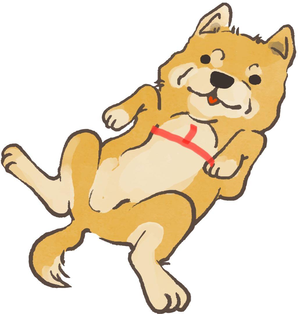 犬服　ニット　オーダー専用　ぷっくりお花のとグラニースクエア