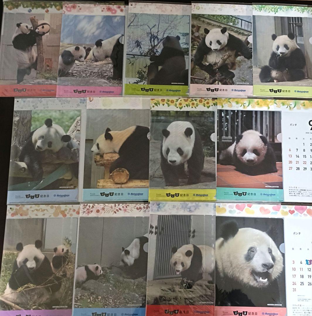 パンダ記念日カレンダー入りクリアファイル 13枚 松坂屋上野店 シャンシャン
