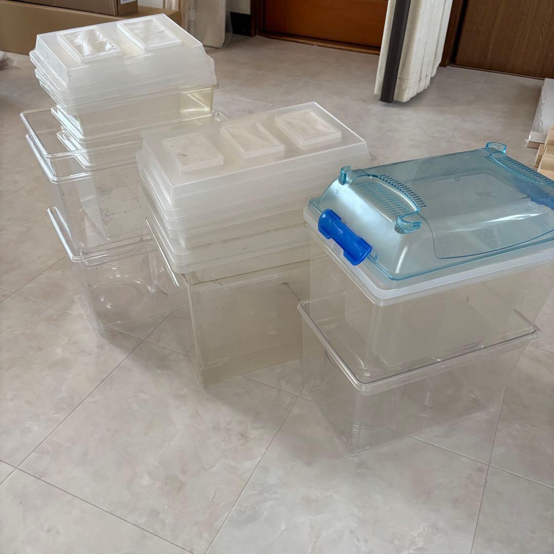 シーラケース　コバエシャッター 昆虫飼育ケース sanko クリーンケースセット