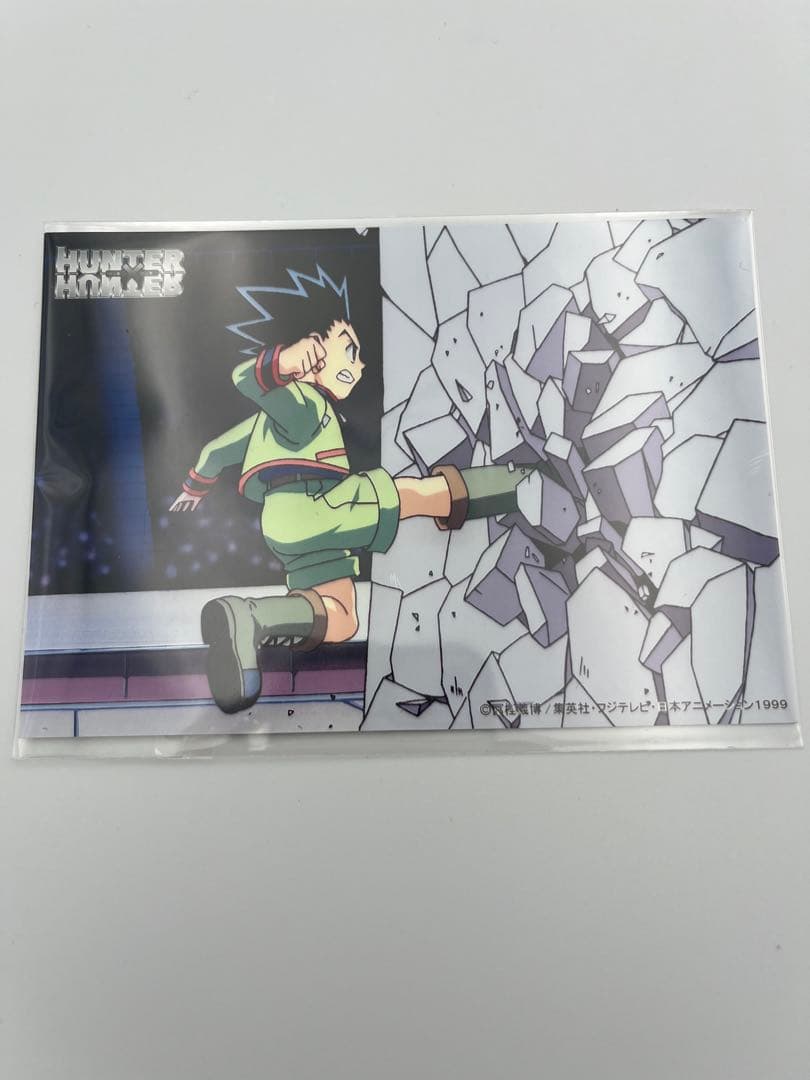 HUNTER×HUNTER 旧アニメ ブロマイド ゴン