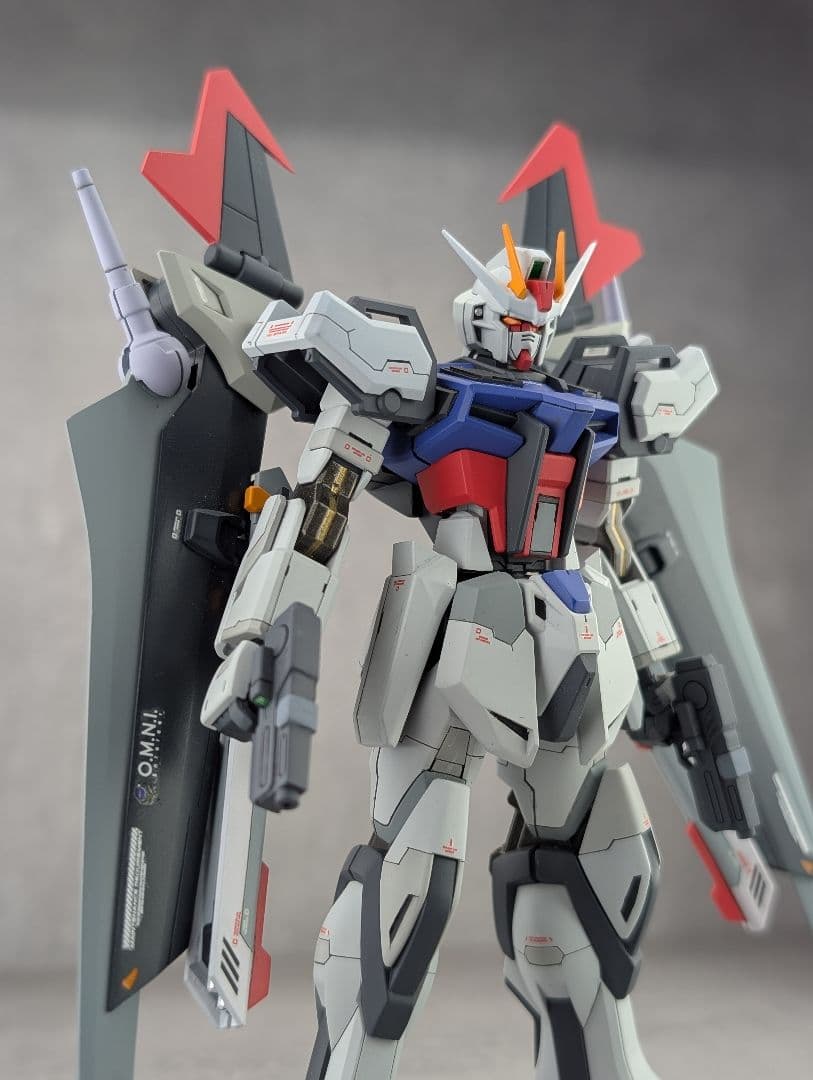 ア*ボ様 EG ストライクノワール　全塗装　完成品 ストライクノワール風　ジャン