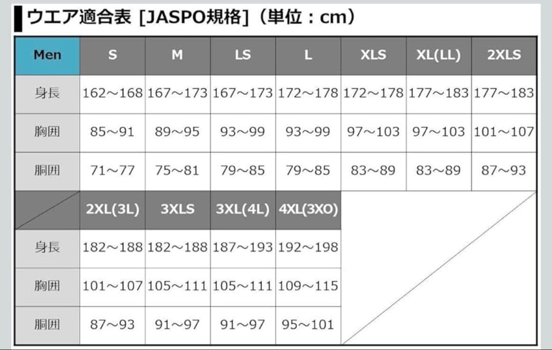 ダイワ レインマックス ウィンタースーツsize:L