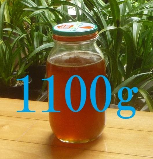 【稀少】ニホンミツバチの百花蜜1100g