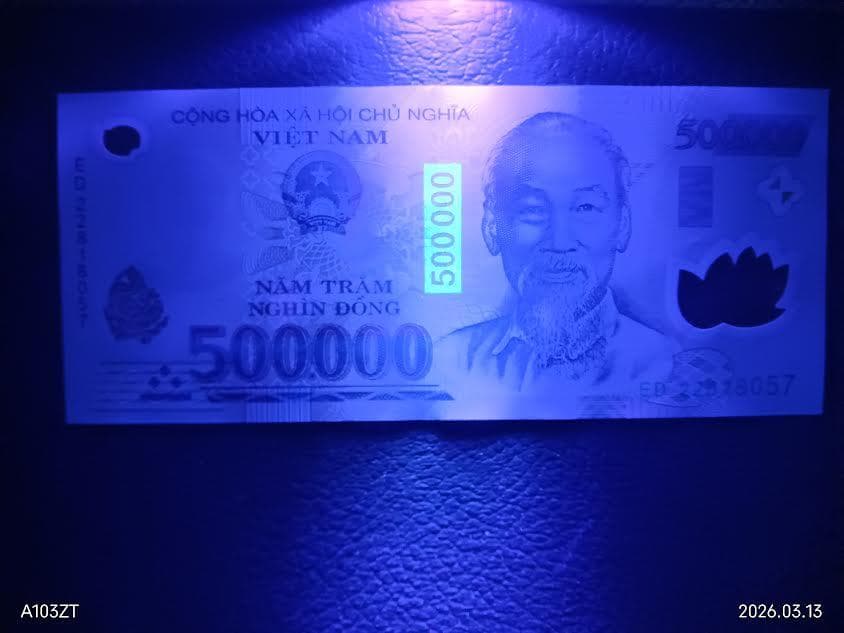 ベトナムドン　10枚