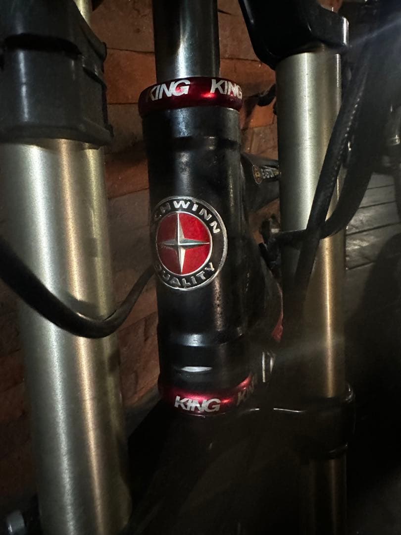 ☆SCHWINN(シュウイン)☆フルカスタム