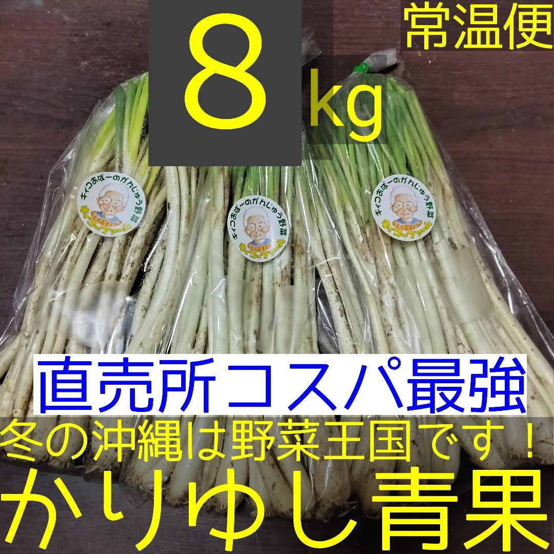 〈直売所コスパ最強〉沖縄県産Ｋおばーの島らっきょう 約８kg【常温便】③