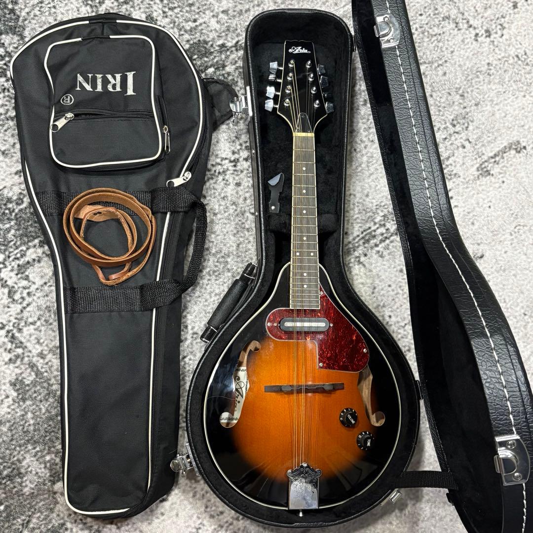 エレキマンドリン Aria AM-20E ピックアップ搭載 ケース2個付き