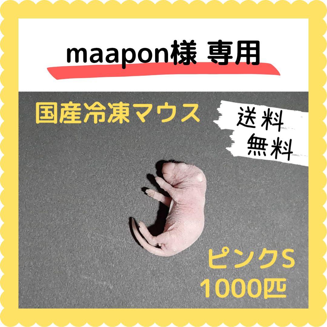 【on】国産冷凍マウス ピンクS 1000匹