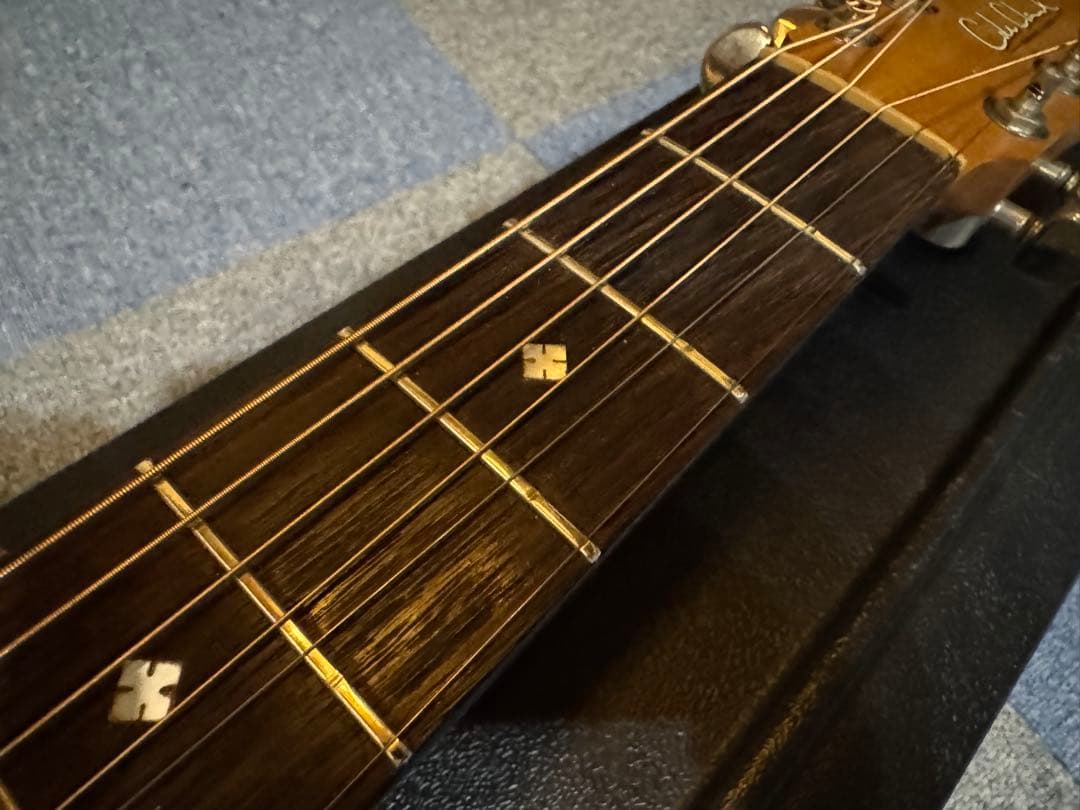 ★Cole Clark AN2AC★