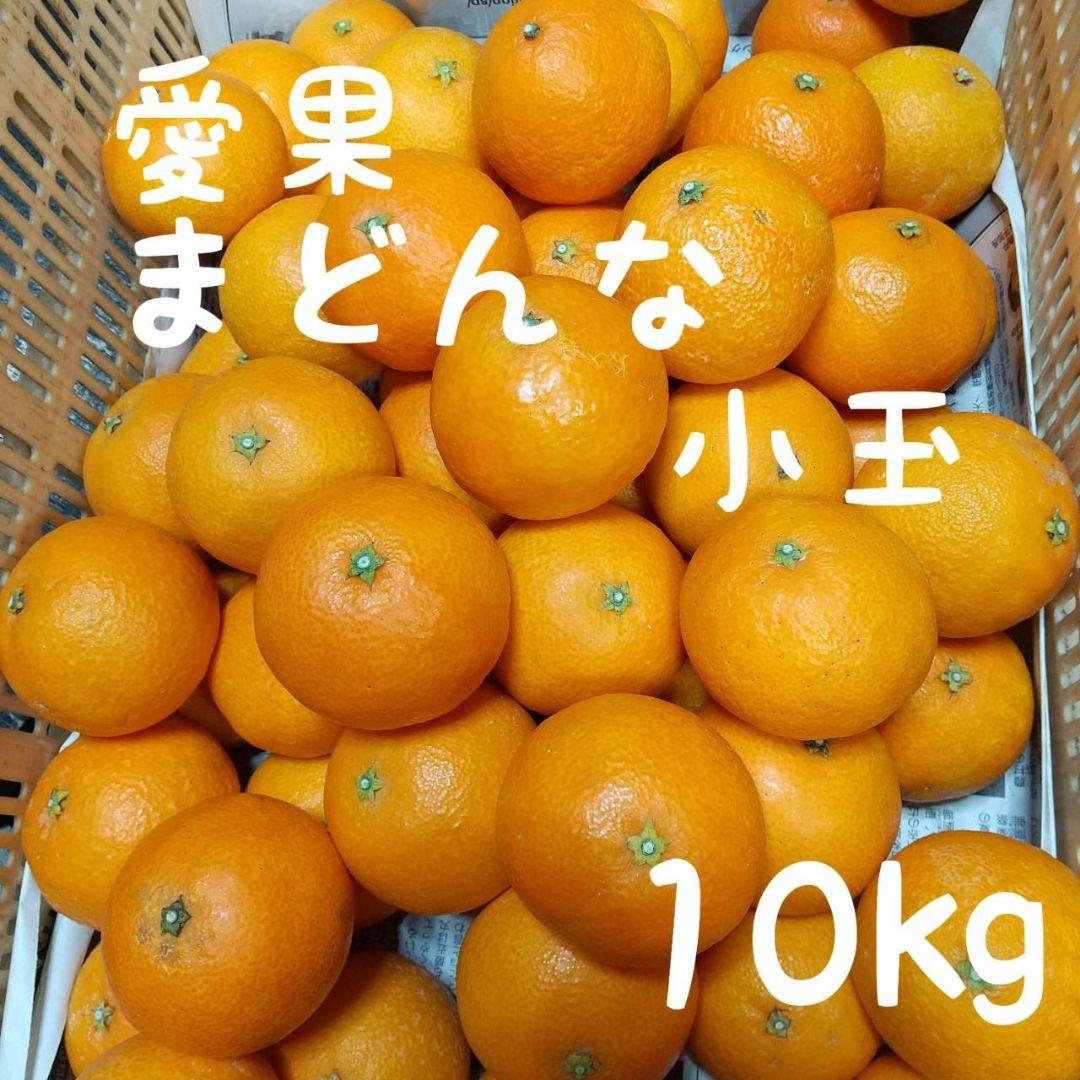 82愛果 まどんな 家庭用小玉 10kg