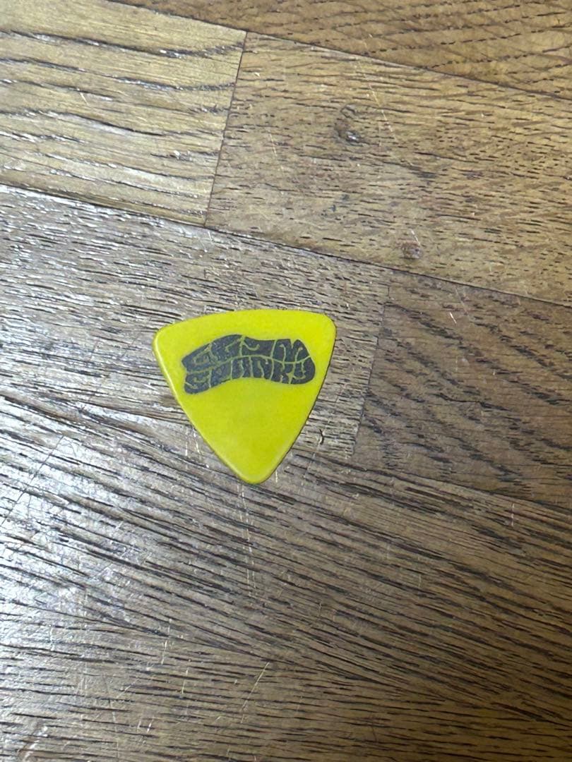 GLIM SPANKY 亀本使用済みピック