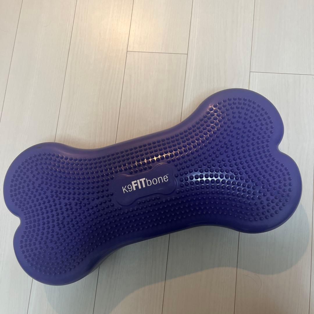 FitPAWS® K9 FITbone CanineGym® ドッグバランス
