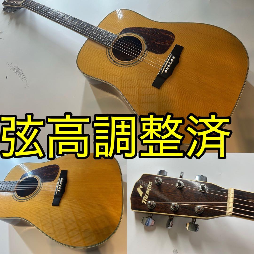 Morris m-501 アコースティックギター
