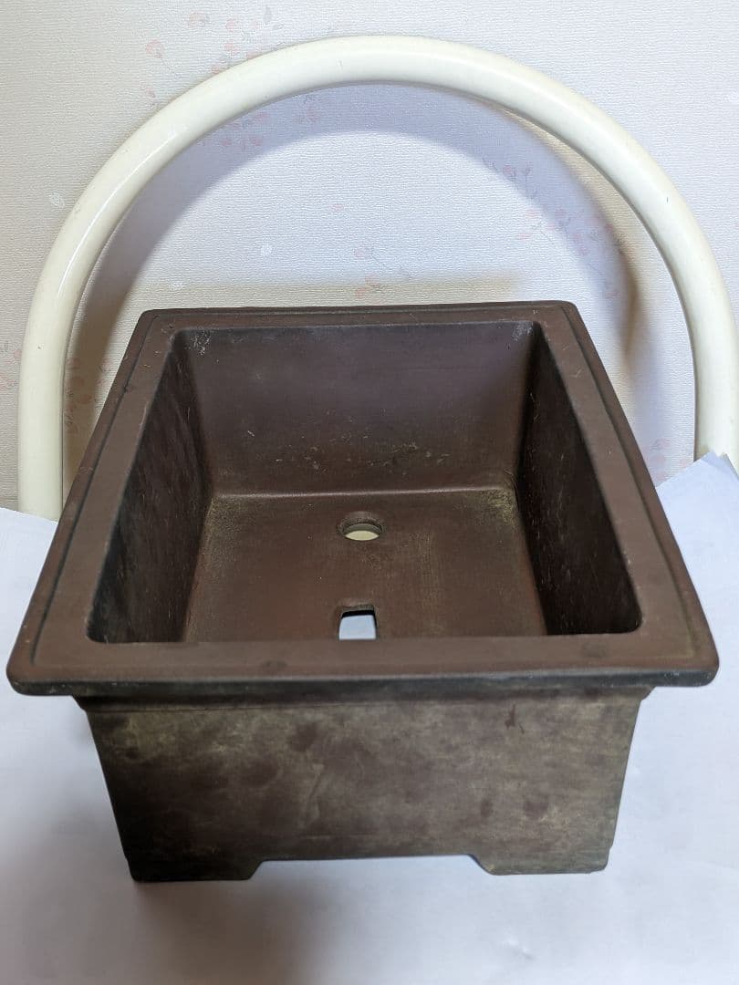 ♦紫砂 紫泥 盆栽鉢 美術品 ？志那鉢 中国鉢 コレクション 骨董品アンティーク