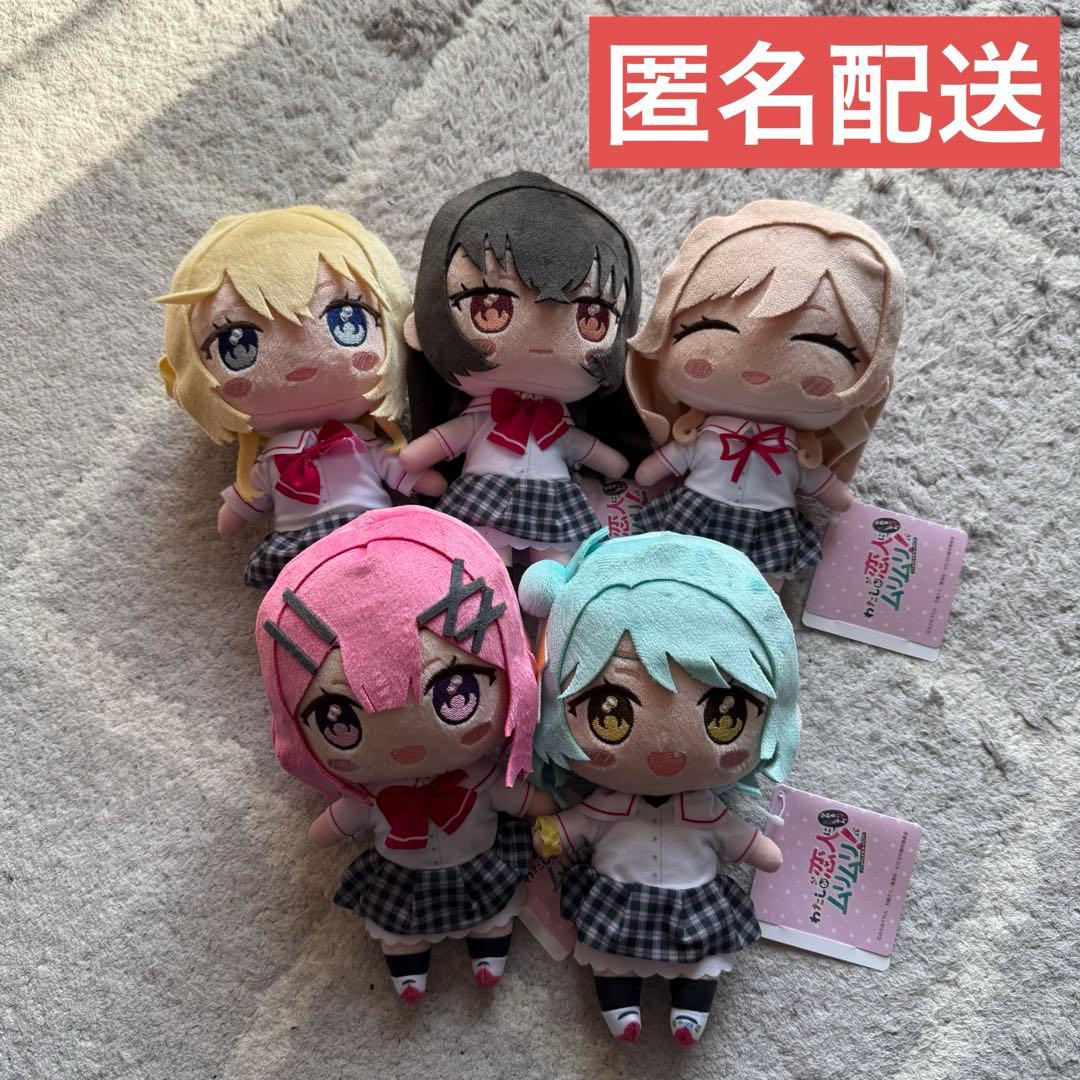 わたしが恋人になれるわけないじゃん みでぃあん ぬいぐるみ わたなれ　5点セット