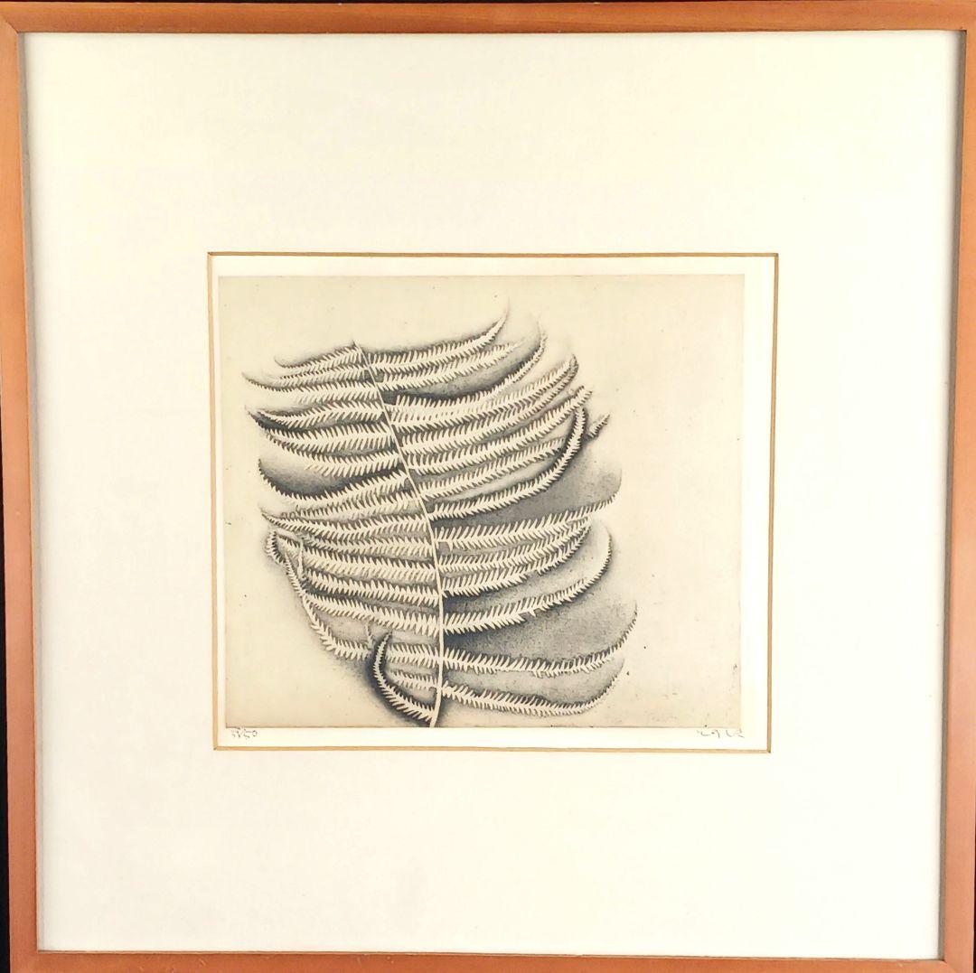 ues-20 広島の名画家 殿敷侃 版画 シダ 限定50部 図録掲載作品