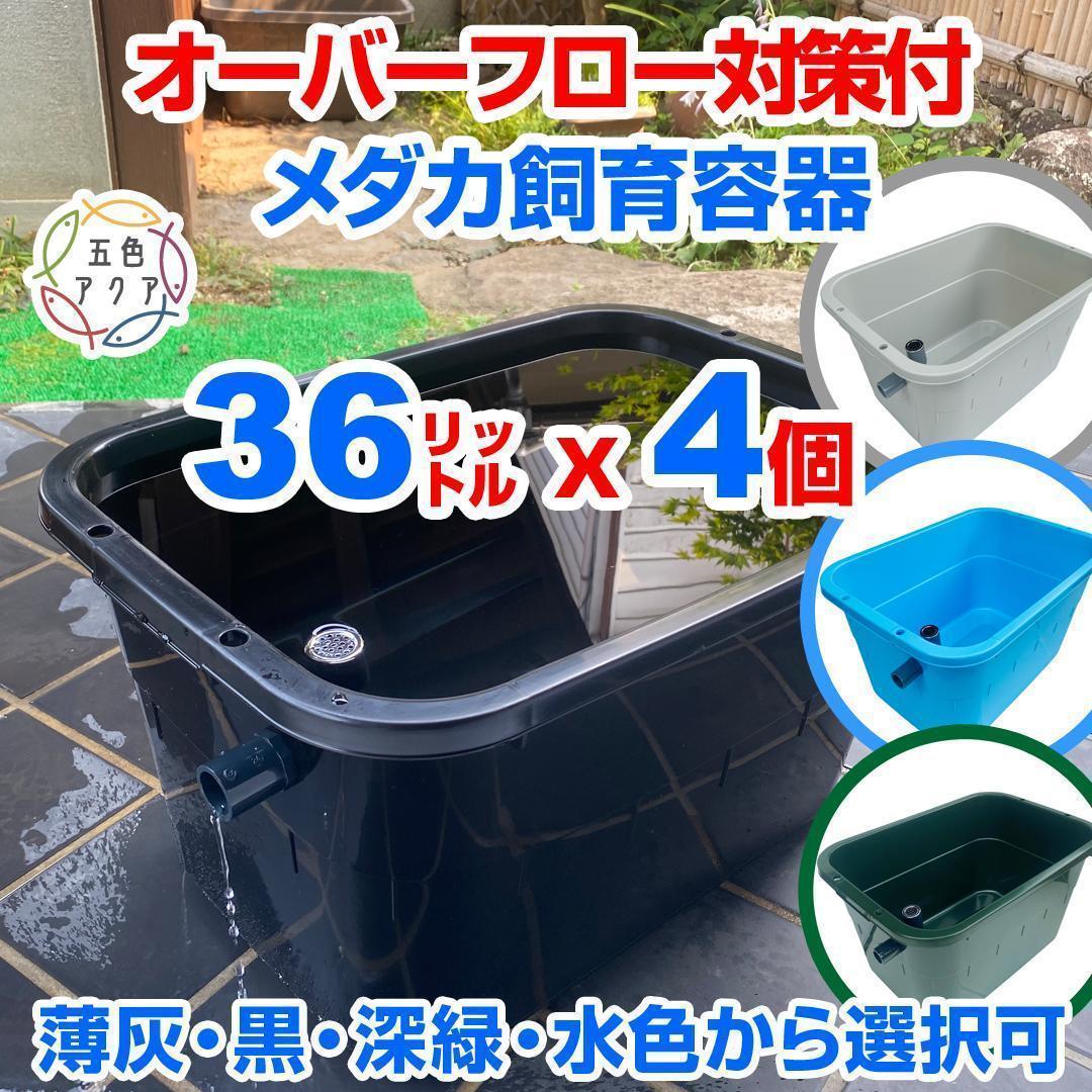 メダカ飼育ケース 36㍑x4個（4色あり）オーバーフロー対策済 金魚鉢ビオトープ