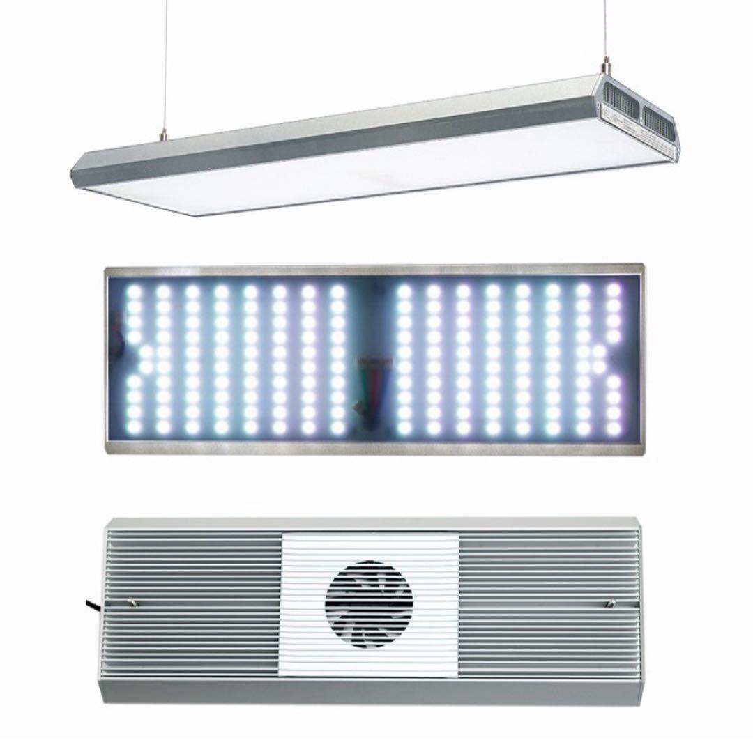 レア　chihiros RGB VIVID2 10thアニバーサリーエディション