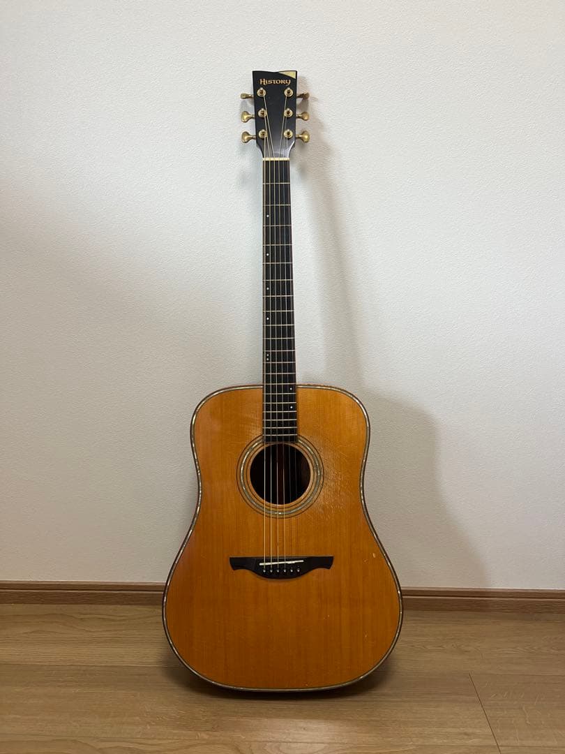 HISTORY アコースティックギター　NT101