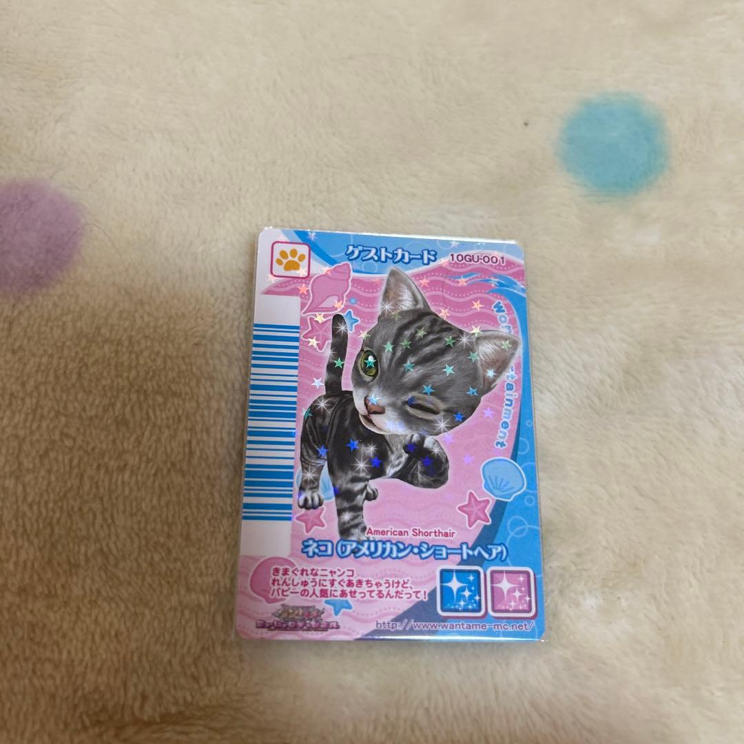 ワンタメ　カード　m＊プロフ必読様確認用