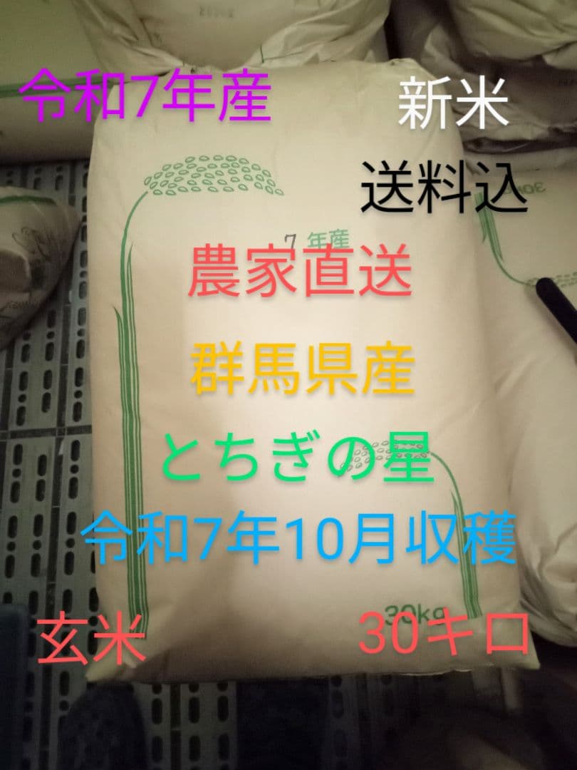 R7年産 新米 群馬県産 とちぎの星 30キロ 玄米 送料込 30kg