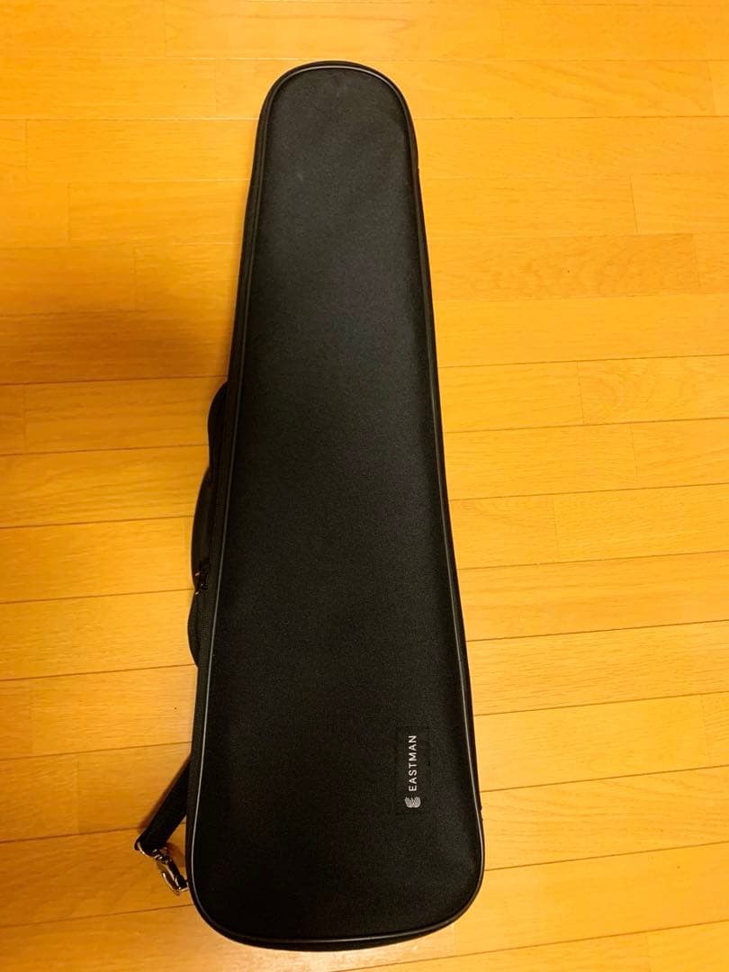 Eastman SVL80セット 4/4フルサイズ　バイオリン　イーストマン